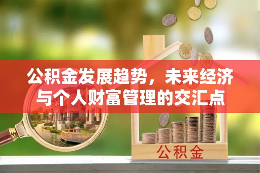上城公积金发展趋势，未来经济与个人财富管理的交汇点