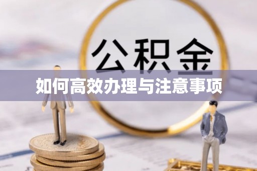 上城如何高效办理与注意事项