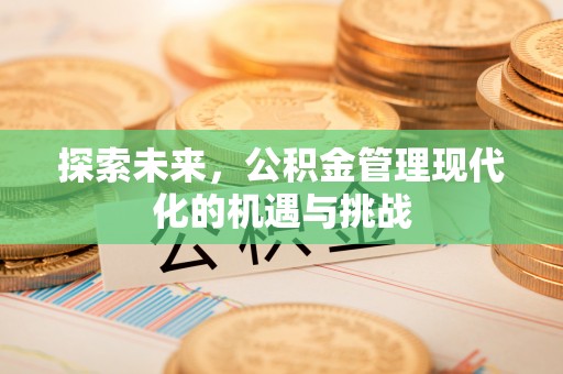 上城探索未来，公积金管理现代化的机遇与挑战