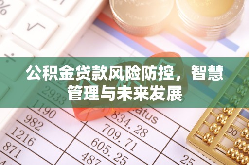 上城公积金贷款风险防控，智慧管理与未来发展