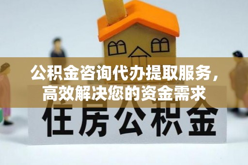 上城公积金咨询代办提取服务，高效解决您的资金需求