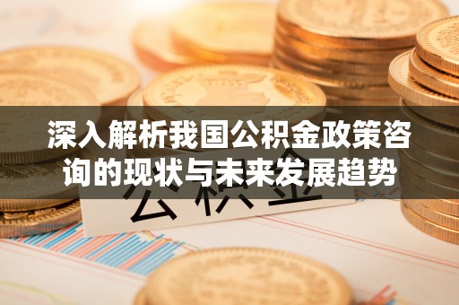 上城深入解析我国公积金政策咨询的现状与未来发展趋势