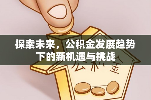上城探索未来，公积金发展趋势下的新机遇与挑战
