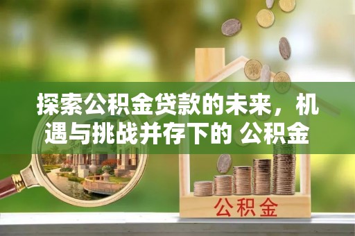 上城探索公积金贷款的未来，机遇与挑战并存下的 公积金贷款风险防控